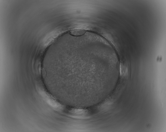 X0000111600205200908061422
