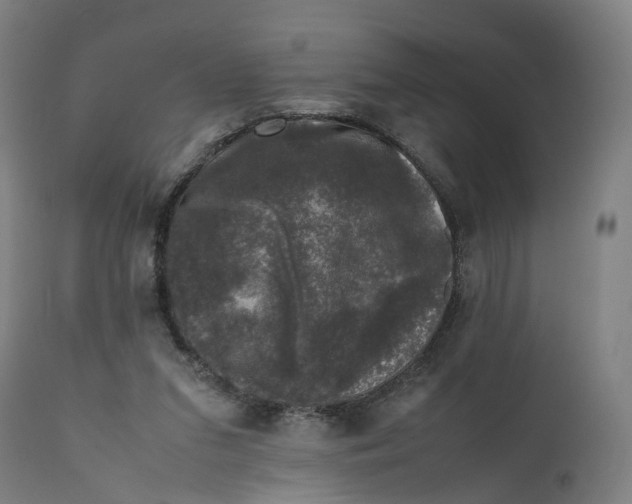X0000111600207200908061422