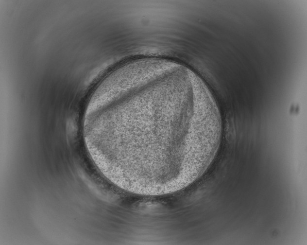 X0000111600208200908061422