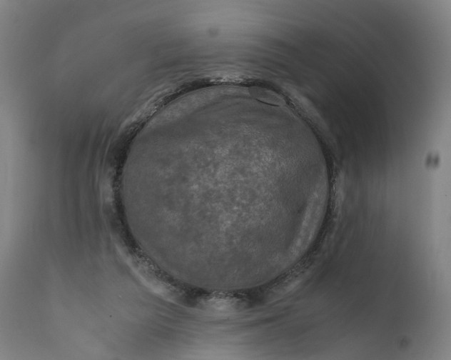 X0000111600209200908061422