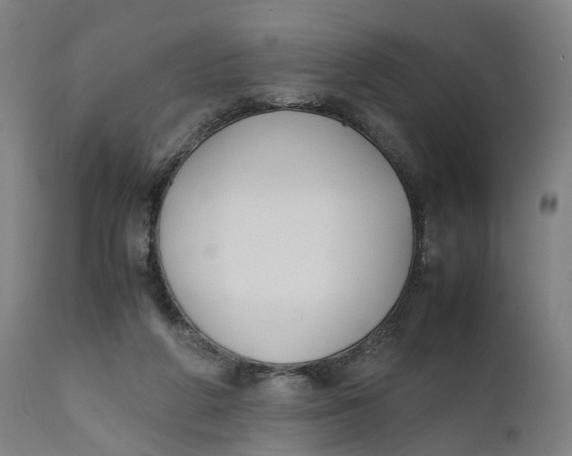 X0000111600210200908061422