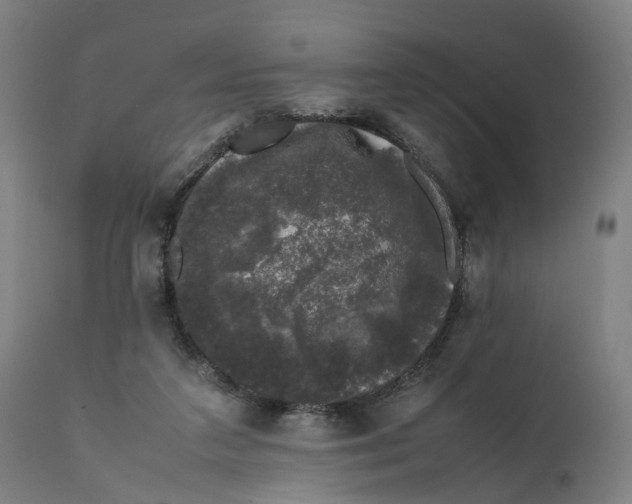 X0000111600211200908061422