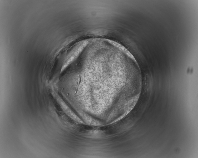 X0000111600212200908061422