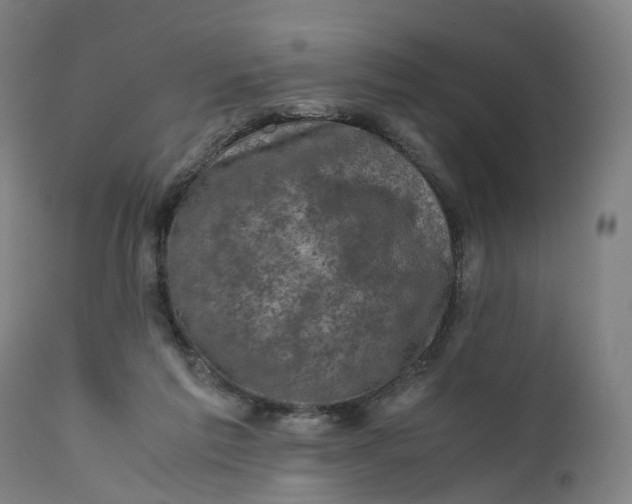 X0000111600213200908061422