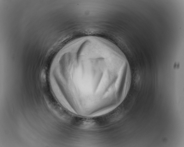 X0000111600214200908061422