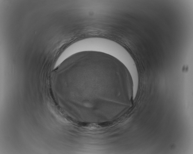 X0000111600215200908061422