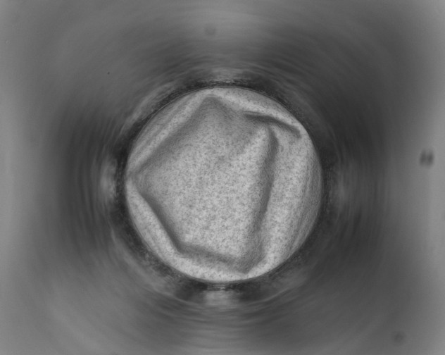 X0000111600216200908061422