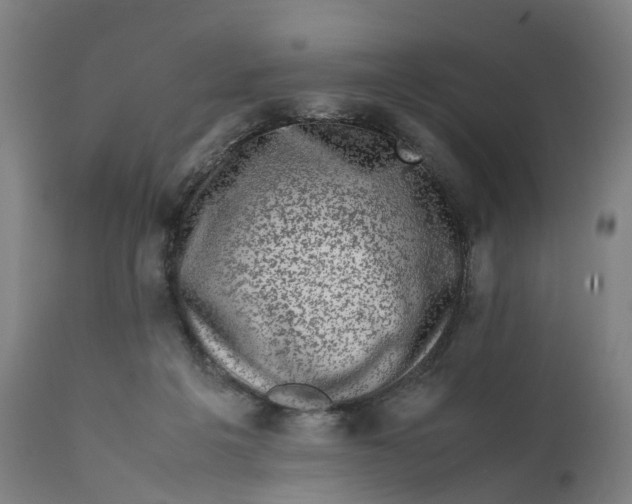 X0000111600217200908061422