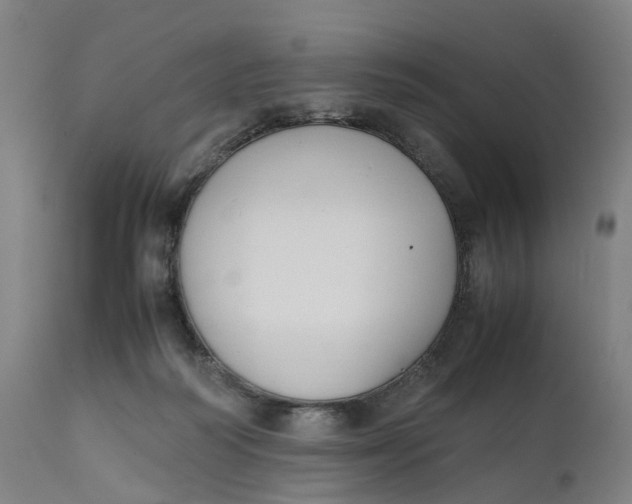 X0000111600218200908061422