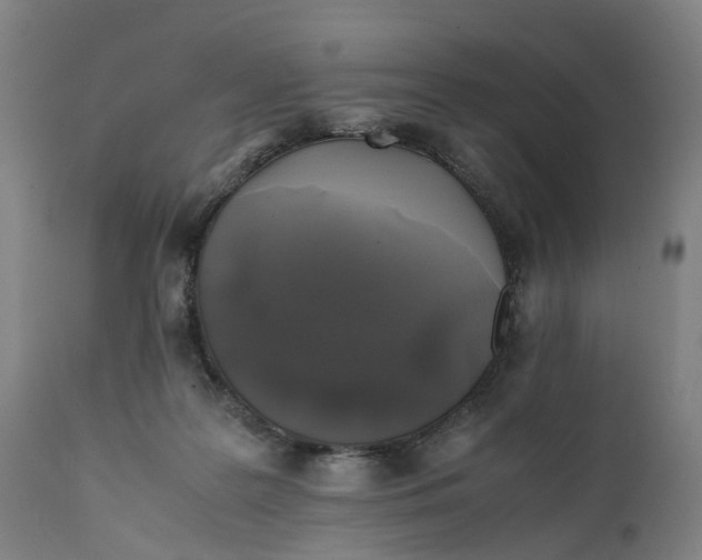 X0000111600219200908061422