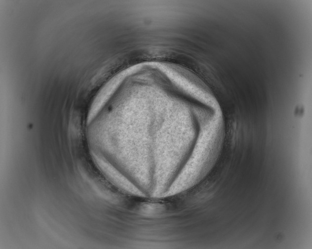 X0000111600220200908061421