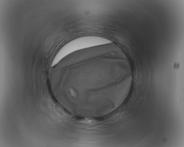 X0000111600221200908061421