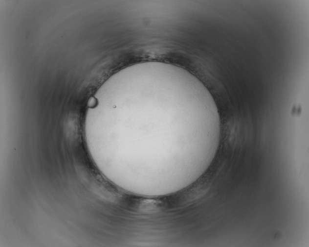 X0000111600222200908061421