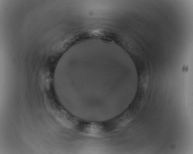 X0000111600223200908061421