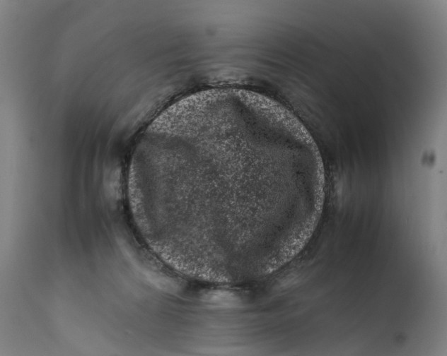 X0000111600224200908061421