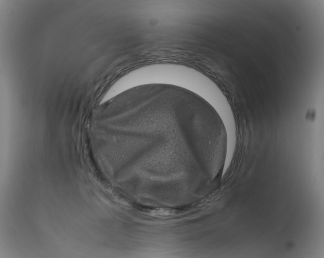X0000111600225200908061421