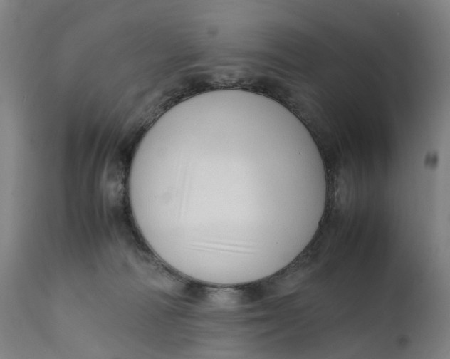 X0000111600226200908061421