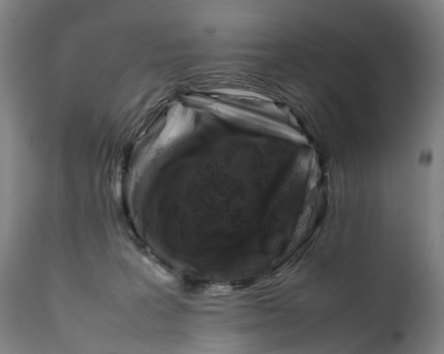 X0000111600227200908061421