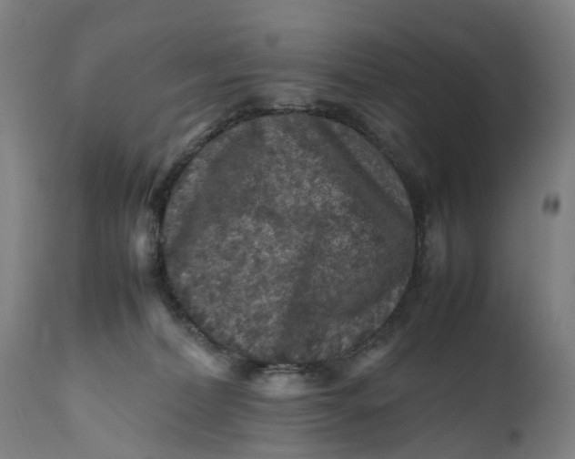 X0000111600228200908061421