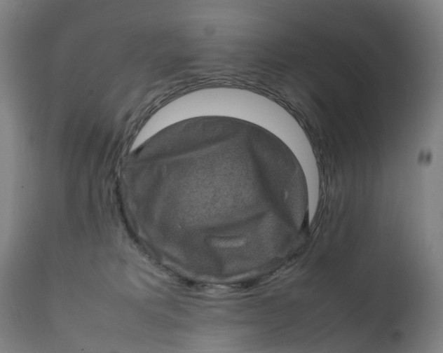X0000111600229200908061421