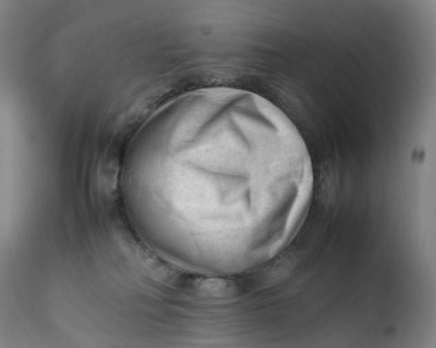 X0000111600230200908061421