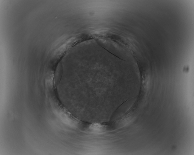 X0000111600231200908061421