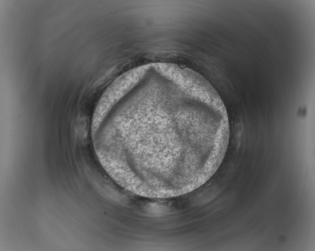 X0000111600232200908061421