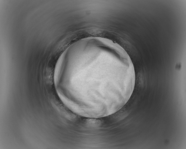 X0000111600234200908061421