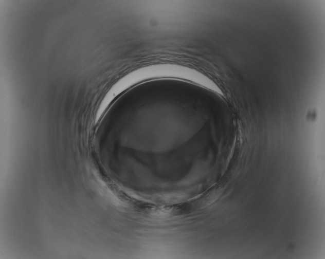 X0000111600235200908061421