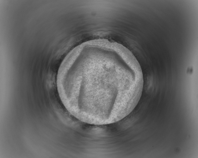 X0000111600236200908061421