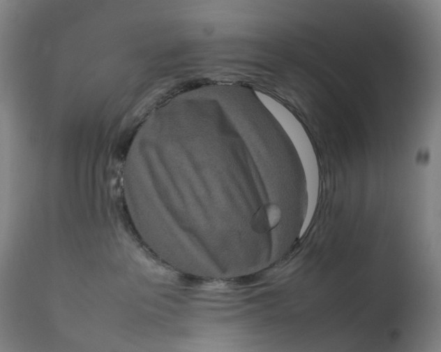 X0000111600237200908061421