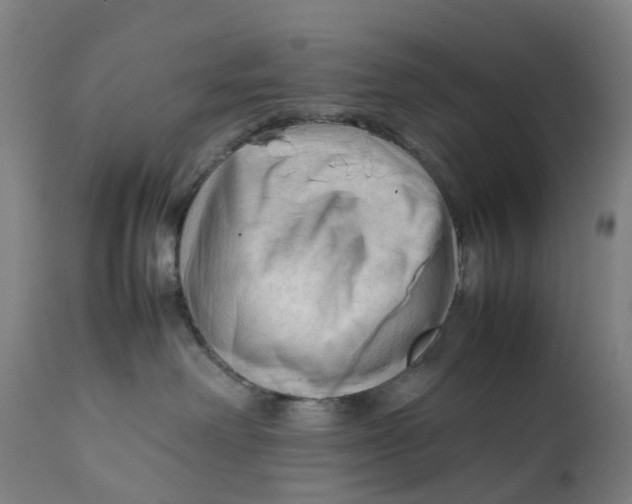 X0000111600238200908061421