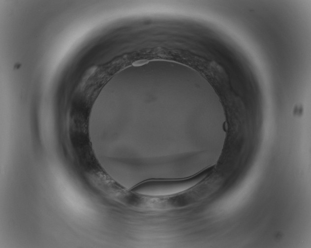 X0000111600239200908061421