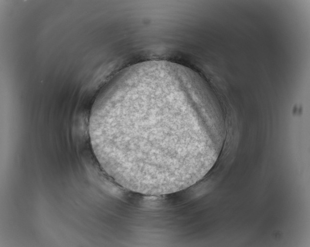 X0000111600240200908061421