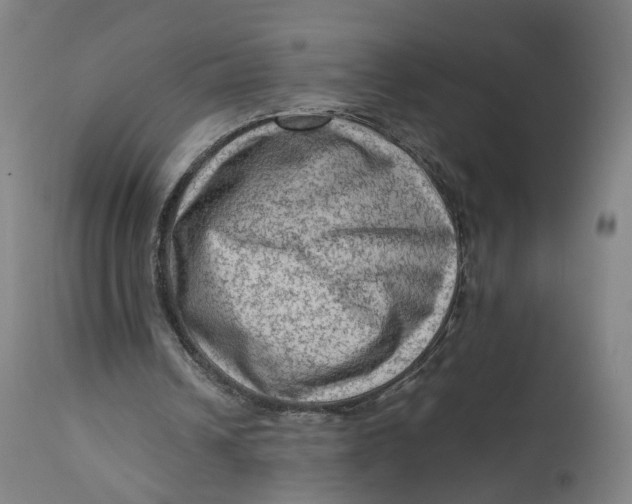 X0000111600242200908061420