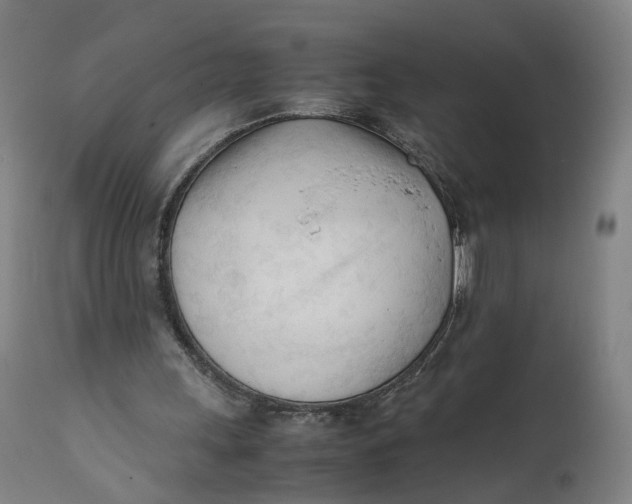 X0000111600243200908061420