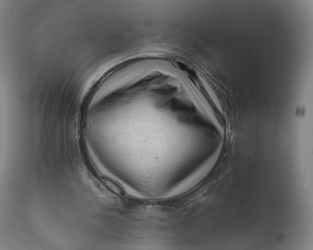 X0000111600244200908061420