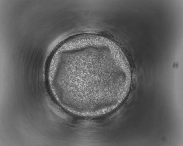 X0000111600246200908061420