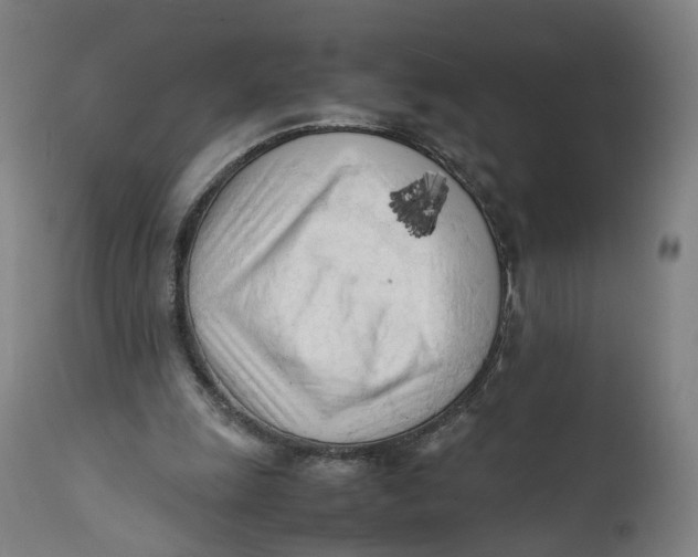 X0000111600247200908061420