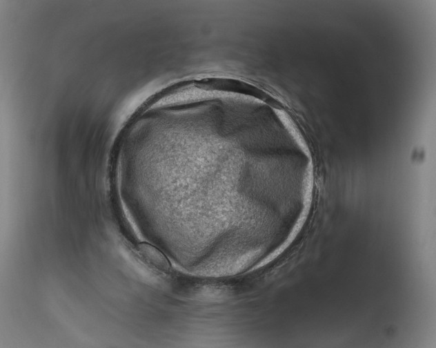 X0000111600248200908061420