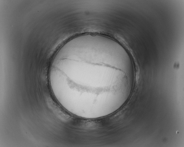 X0000111600249200908061420