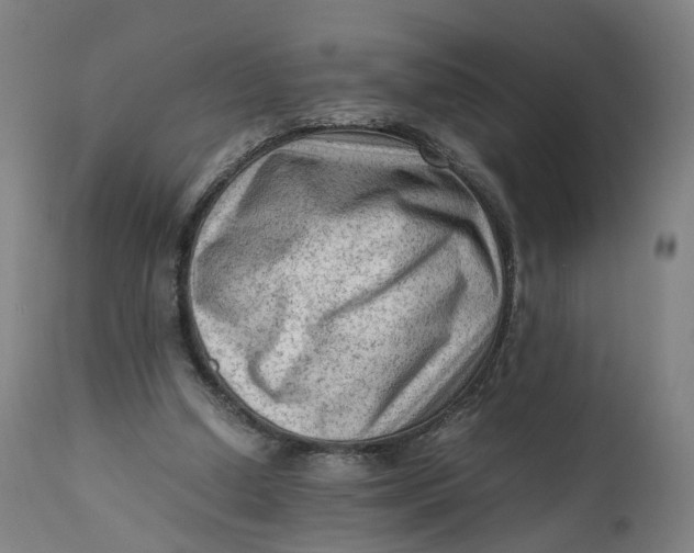 X0000111600250200908061421