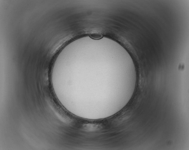 X0000111600251200908061421