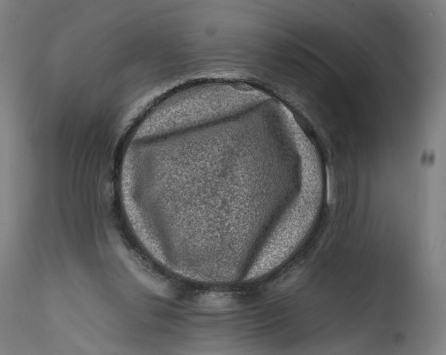 X0000111600252200908061421