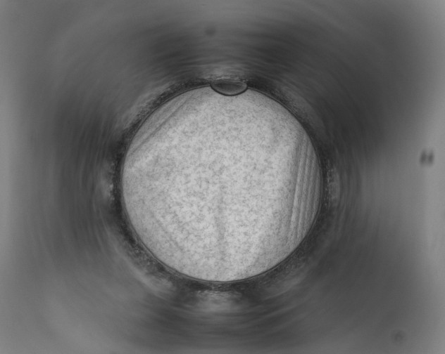 X0000111600255200908061421