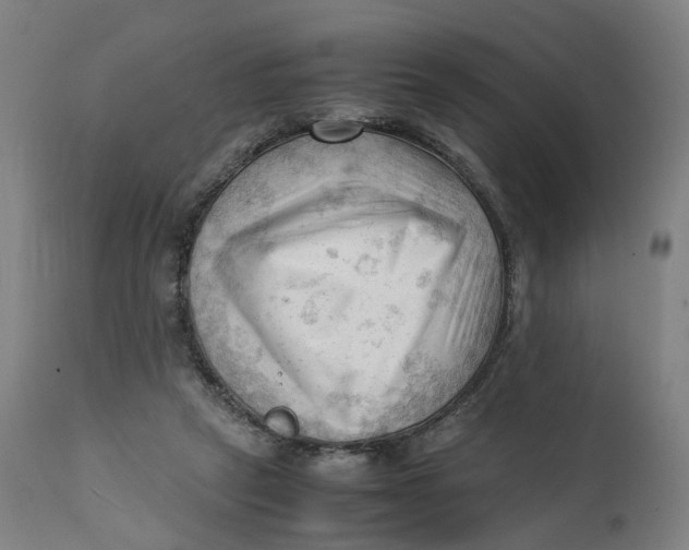 X0000111600257200908061421