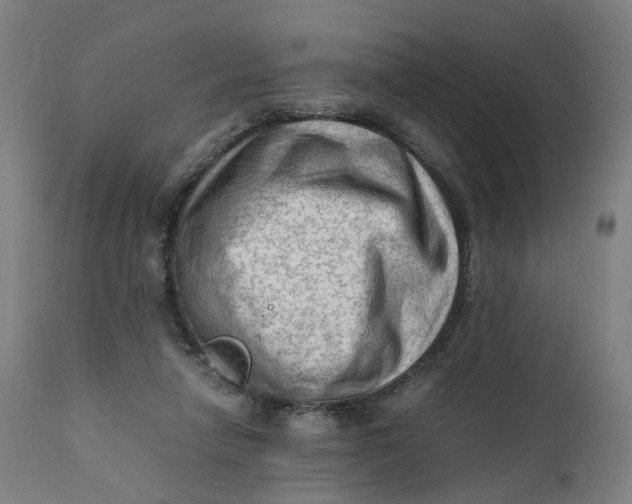 X0000111600258200908061421