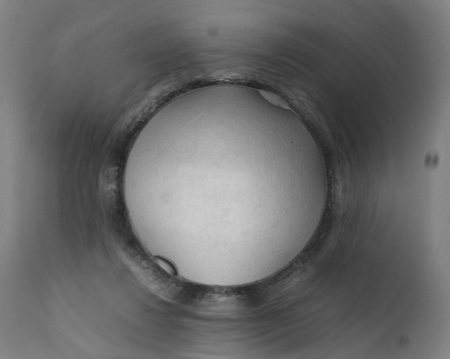X0000111600260200908061421