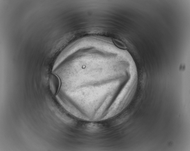 X0000111600261200908061421