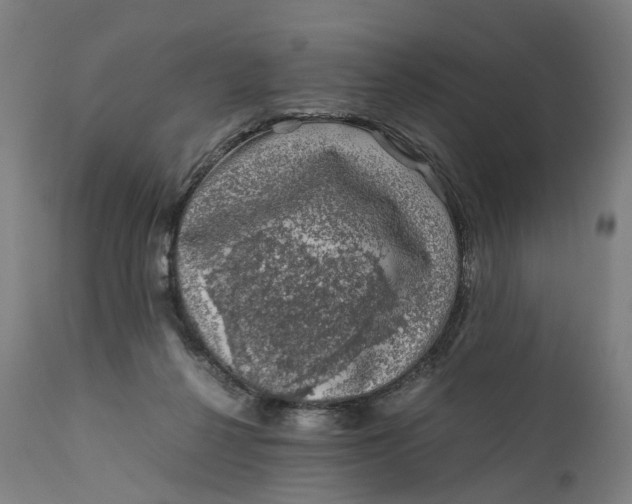 X0000111600264200908061421